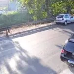 1764519482692c6e3ab2cca 1764519482 3x2 Lg