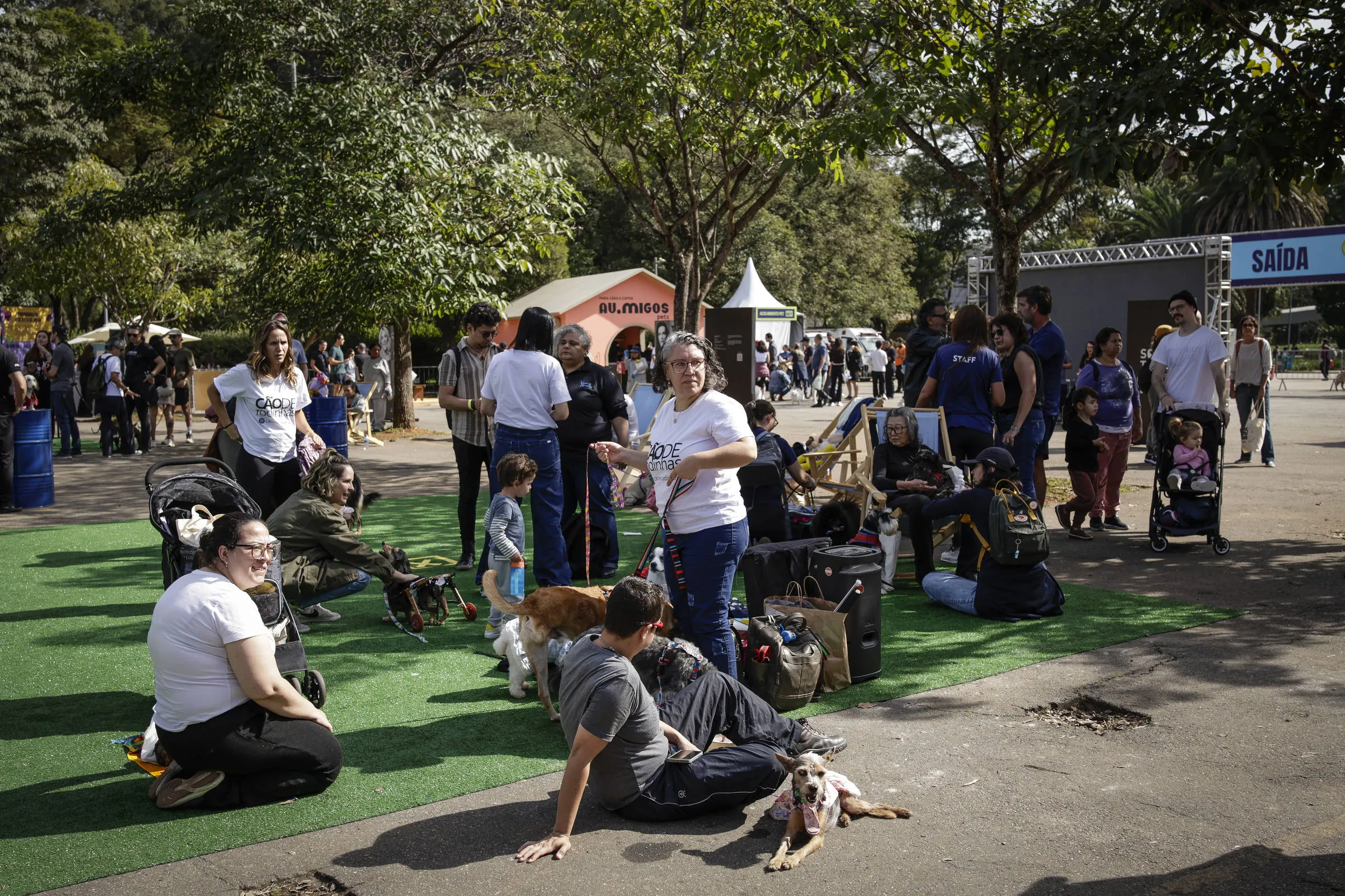 1751734445686958ad31ec1 1751734445 3x2 Rt