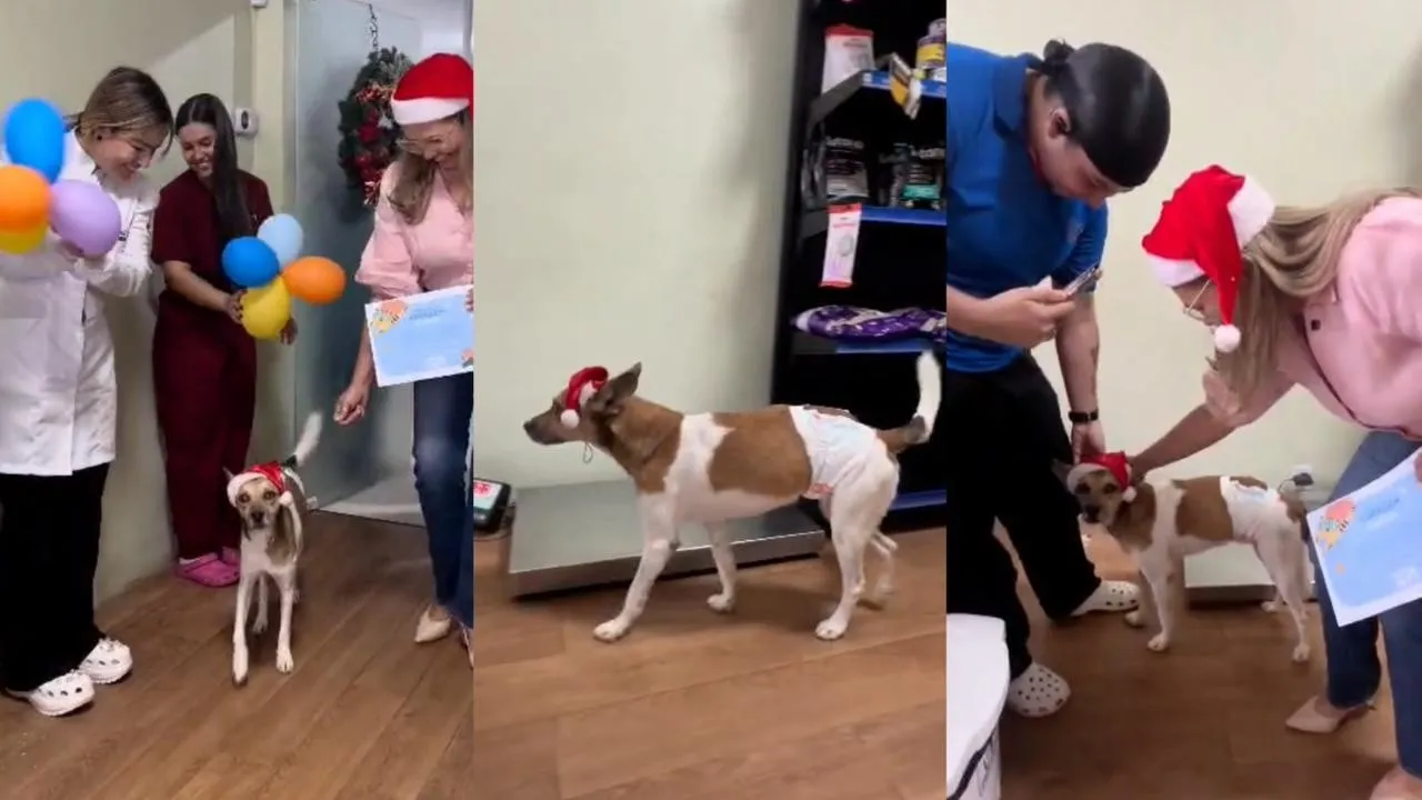 Whatsapp Image 2025 12 20 At 12.05.31