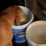 1770145449698246a924165 1770145449 3x2 Lg