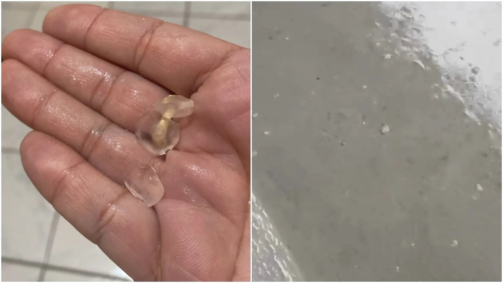 Caso 2026 02 05t175930.197