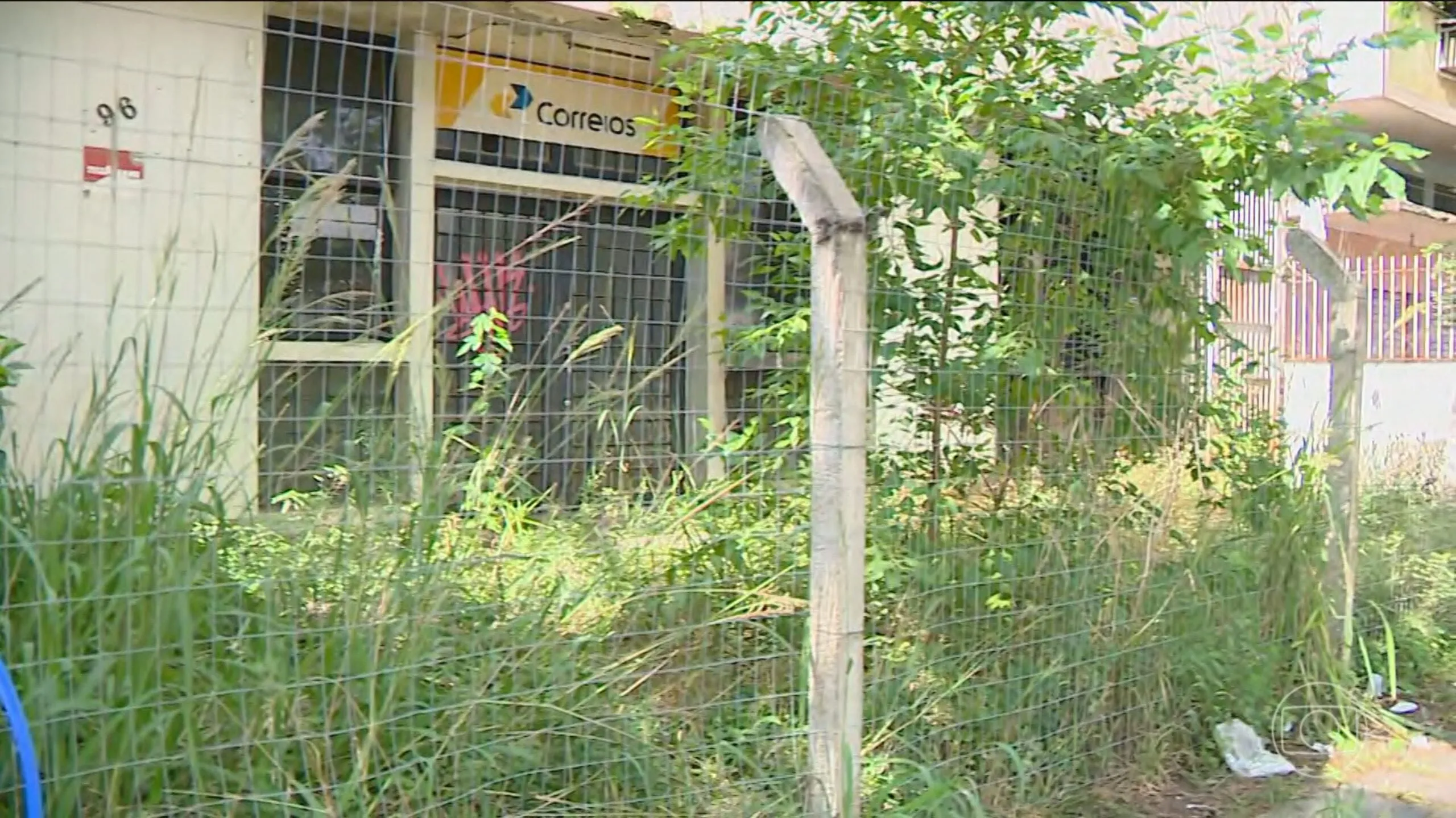 Globo Canal 4 20260206 2000 Frame 86018 Scaled