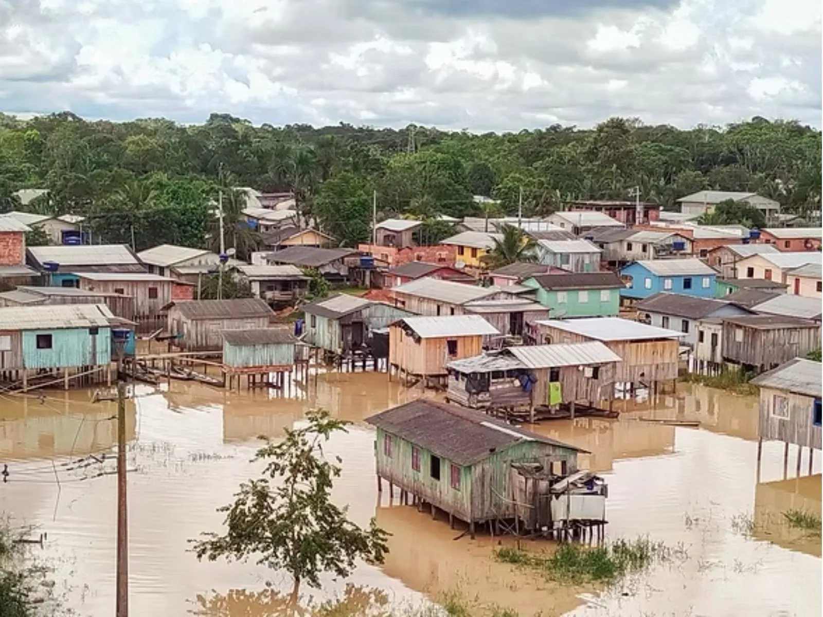 Midia De Distribuicao G1 2026 02 24t123823.270